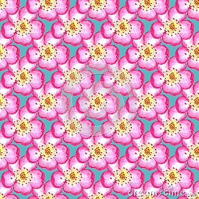 Pattern pink rose hips. Roses seamless pattern. Watercolor. Stock Photo