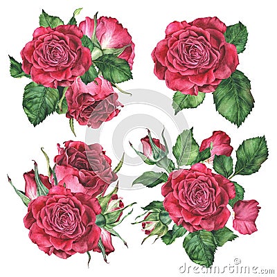 Roses Set of compositions. Pink Flowers for greeting cards design. Watercolor botanical illustration of a bouquet. Hand Cartoon Illustration