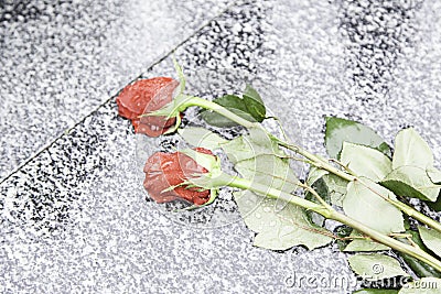 Roses in a tomb Stock Photo