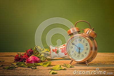 Roses wilt love lost. Stock Photo