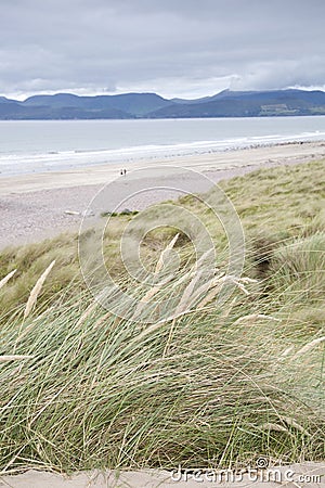 Rossbeigh Beach, County Kerry; Stock Photo