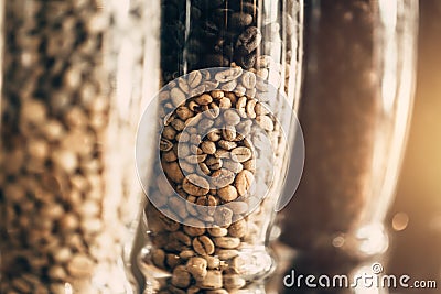 rosted coffee bean multiple color of rost time Stock Photo