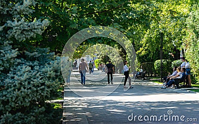 Shady alley of Rostov-on-Don embankment with large trees and walking people Editorial Stock Photo