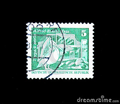 Rosy Pelican (Pelecanus onocrotalus); Alfred-Brehm-House, Constr Editorial Stock Photo