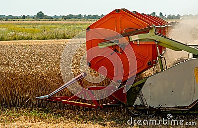 Rotary straw walker combine harvester cuts and threshes ripe wheat grain. Platform grain header with thresher reel Stock Photo