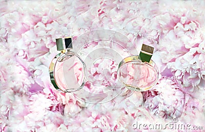 Rotating Perfume bottles on pink flowers peonies background with copy space. Perfumery, cosmetics, female accessories Stock Photo