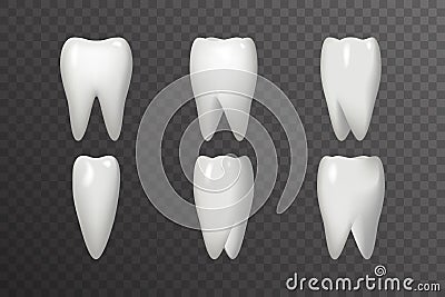 Rotation Tooth Animation Frames Realistic 3d Stomatology Dental Poster Design Icon Template Transperent Background Mock Vector Illustration