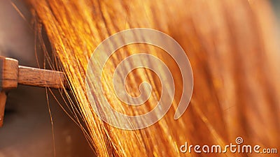 Rote behaarte Frauennahaufnahme Junge Frau des Porträts mit dem roten Haar, das in der Sonne glänzt stock footage Rote behaarte Frauennahaufnahme Junge Frau des Porträts mit dem roten Haar, das in der Sonne glänzt stock footage