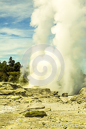 Rotorua geyser in North Island, New Zealand Stock Photo