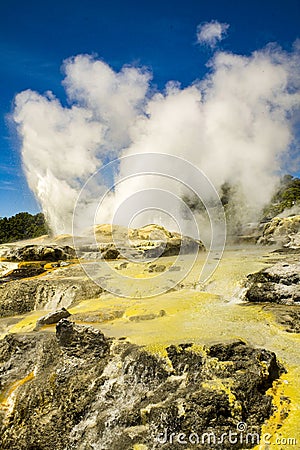 Rotorua geyser in North Island New Zealand. Stock Photo