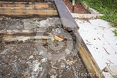 Rotted Wood Stock Photo