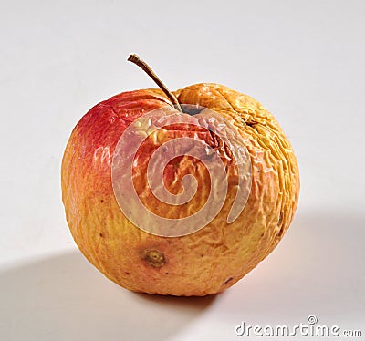 Rotten apple Stock Photo