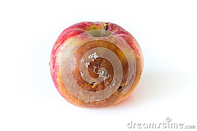 Rotten apple Stock Photo