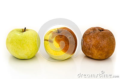 Rotten apples Stock Photo