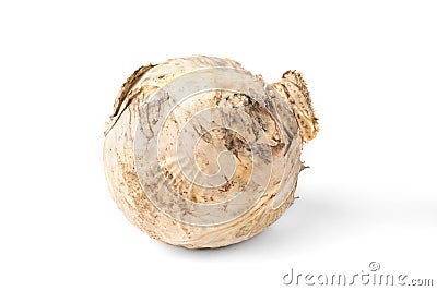 Rotten cabbage isolated on white. Stock Photo