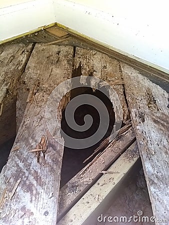 Rotten floor boards Stock Photo