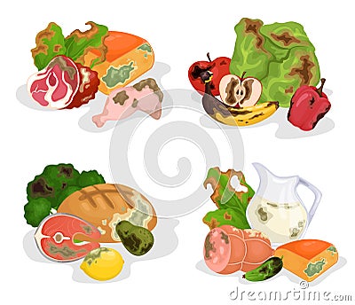 Rotten Food 2x2 Design Concept Vector Illustration