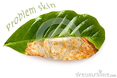 Rotten leaf Stock Photo