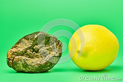 Rotten lemon and fresh lemon compare, green background Stock Photo