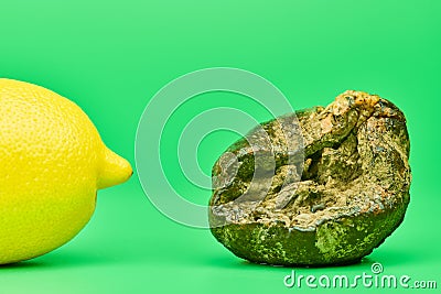 Rotten lemon and fresh lemon compare, green background Stock Photo