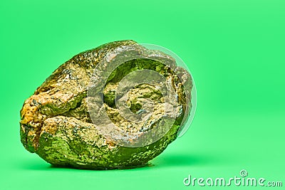 Rotten lemon, green background Stock Photo