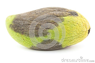 Rotten mango fruite isolated on a white Stock Photo