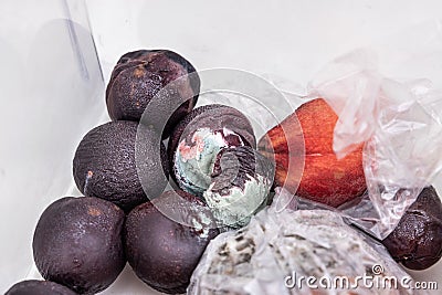 Rotten and moldy fruits and vegetable found in refrigerator drawer Stock Photo