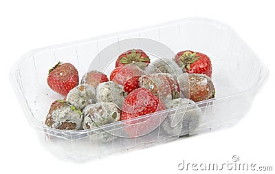 Rotten Mouldy Strawberries Stock Photo