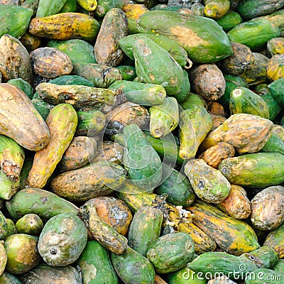 Rotten papayas Stock Photo