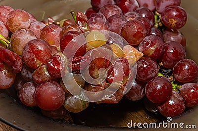 Rotten spoiled grapes on a plate Stock Photo