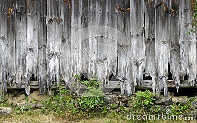 Rotten wooden wall Stock Photo