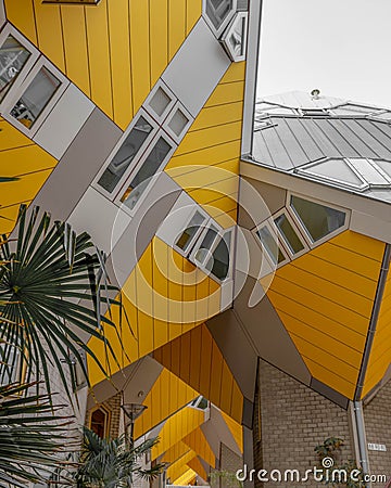 Rotterdam Cube Houses palm trees Editorial Stock Photo