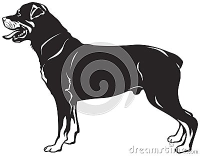 Rottweiler dog breed Vector Illustration