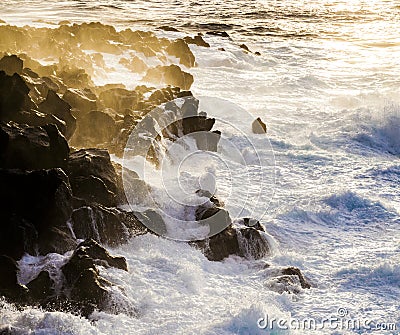 Rough coast with huge waves Stock Photo