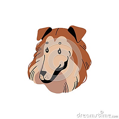 Rough collie avatar. Purebred puppy of herding dog. Cute smile face of longhaired pup portrait. Fluffy shepherd doggy Vector Illustration