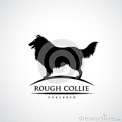 Rough Collie dog - vector illustration Vector Illustration