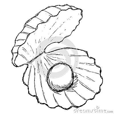 Rough freehand outline drawing of a seashell with a pearl. Vector sketch of an open shell with a round ball inside, isolated on Vector Illustration