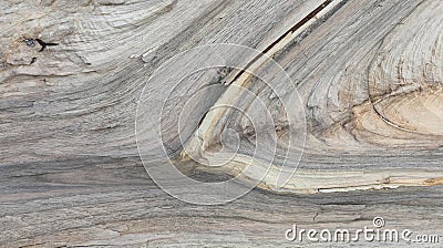 rough longitudinal wood cut,wood background Stock Photo
