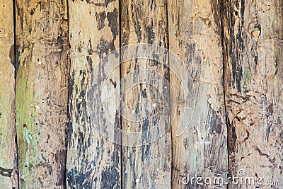 Rough old hardwood planks Stock Photo