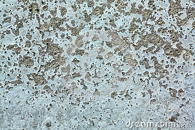 Texture concrete Stock Photo