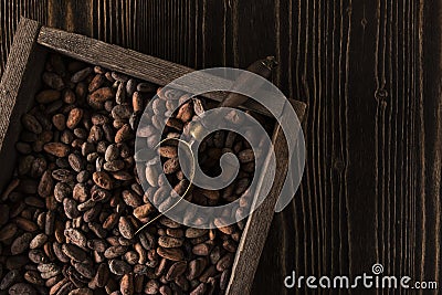 Rough wooden box with raw cocoa beans Stock Photo