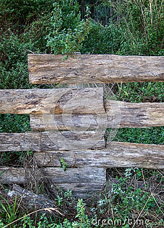 Rough wooden fence erected in the forest Stock Photo