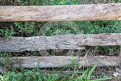 Rough wooden fence erected in the forest Stock Photo