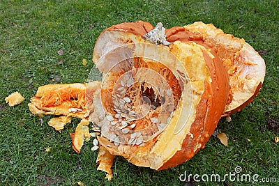 Roughly broken pumpkin pieces Stock Photo