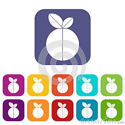 Round apple icons set flat Vector Illustration