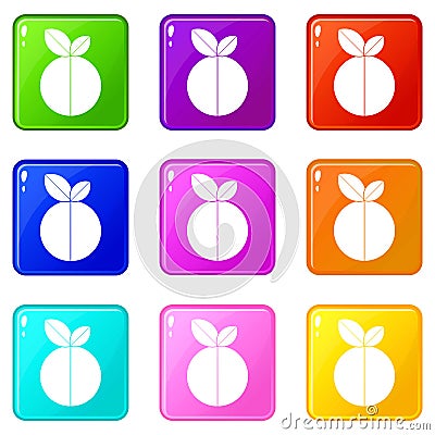 Round apple set 9 Vector Illustration