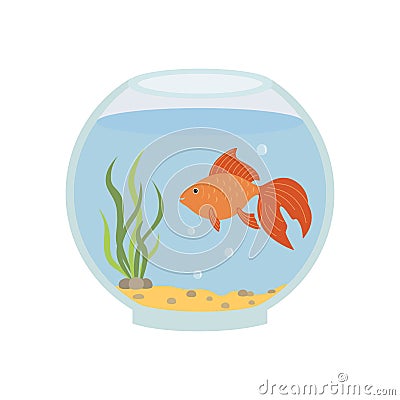 Round aquarium with goldfish. Vector illustration isolated. Vector Illustration