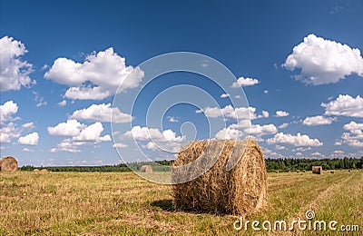 Round bale of straw in the meadow. Agriculture field with hay bales. Rural nature in the farm land with straw on the meadow. Wheat Stock Photo