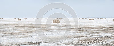Snow covered round bale of hay in a farmers field Stock Photo
