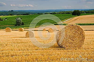 Round bales Stock Photo